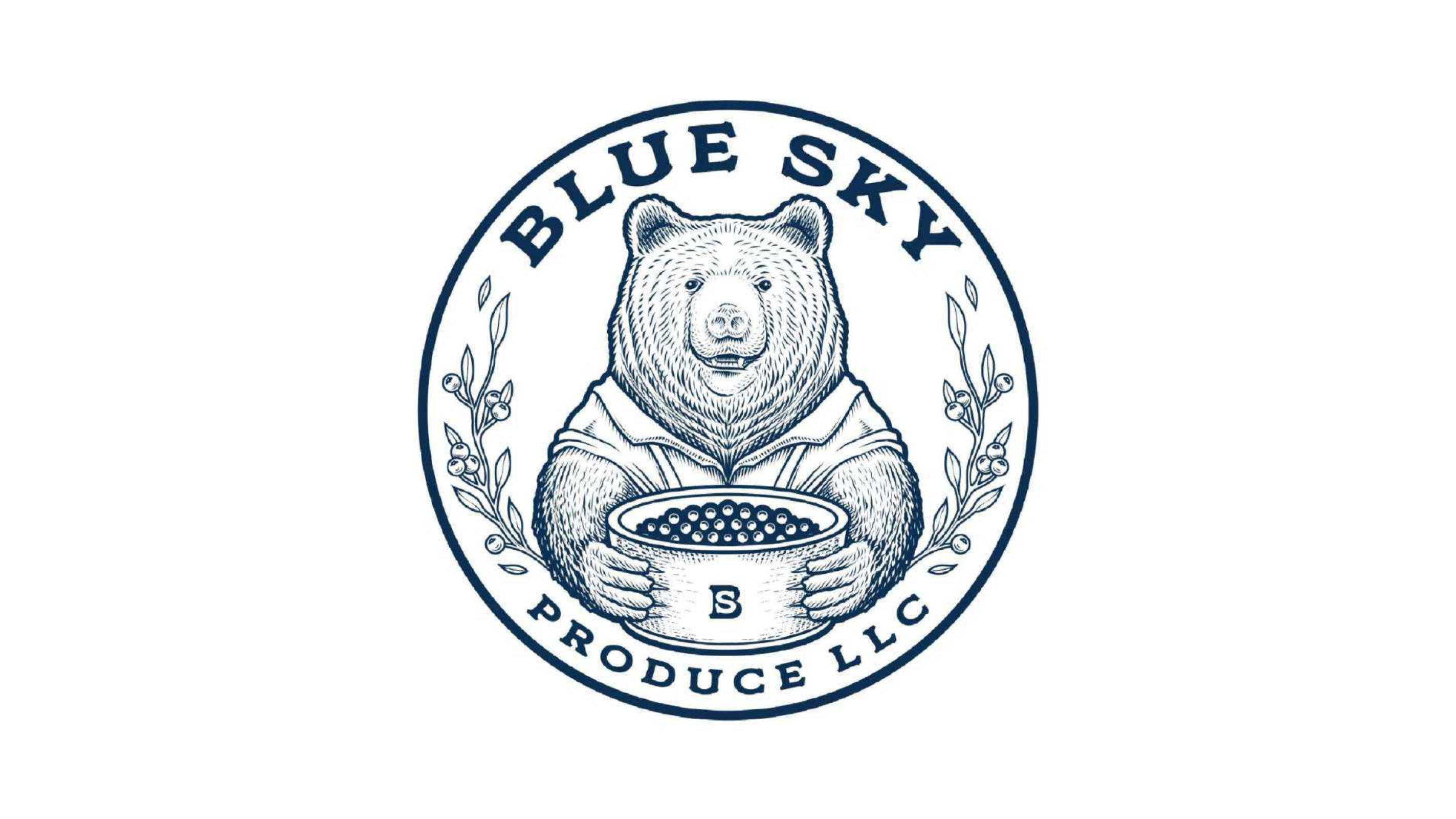 Blue Sky Produce logo design