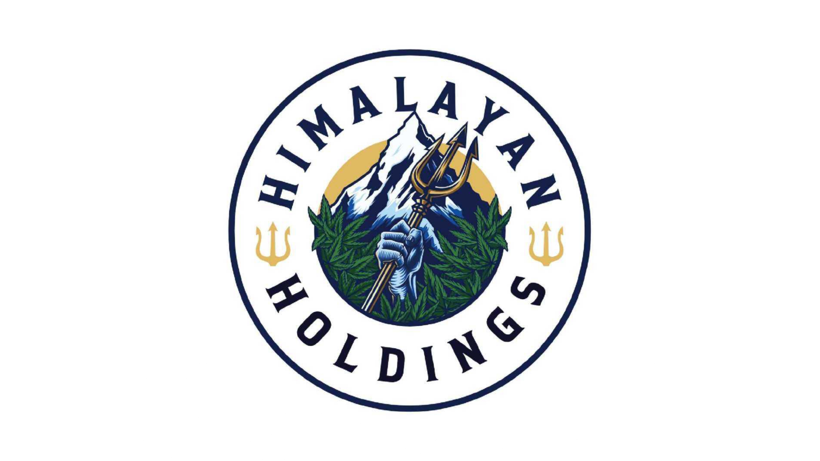 Himalayan Holdings logo design