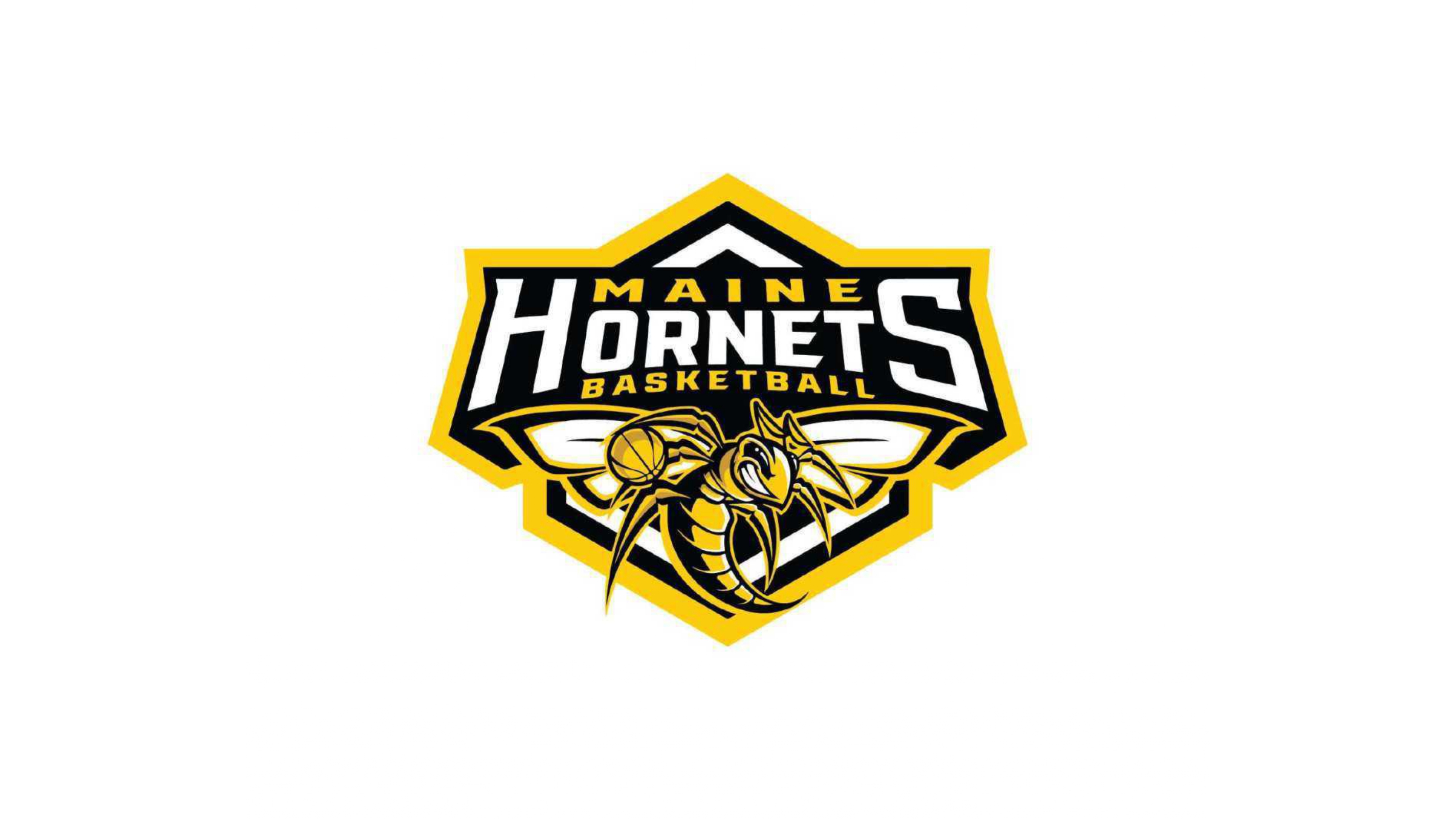 Maine Hornets Basketball logo design